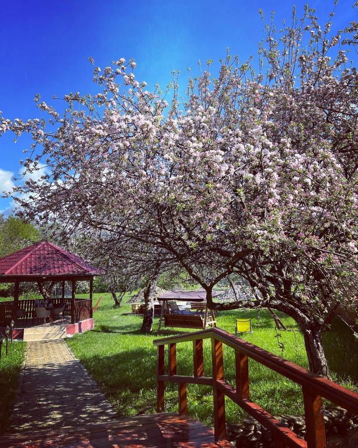 Horace Guesthouse Pool & Hot Tub & Bikes & River Dejani Экстерьер фото